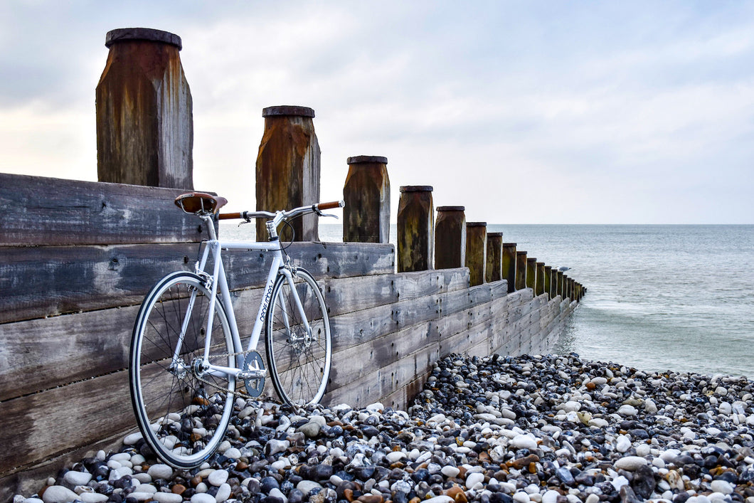 Fixie bike